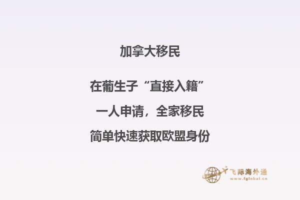 加拿大聯(lián)邦技術移民費用！與投資移民相比，竟然這要這么點！