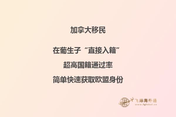 加拿大最受歡迎的專業(yè)，你選對(duì)專業(yè)了嗎？