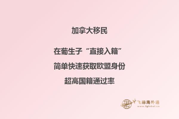 加拿大魁省投資移民適合哪些人，申請周期要多久？