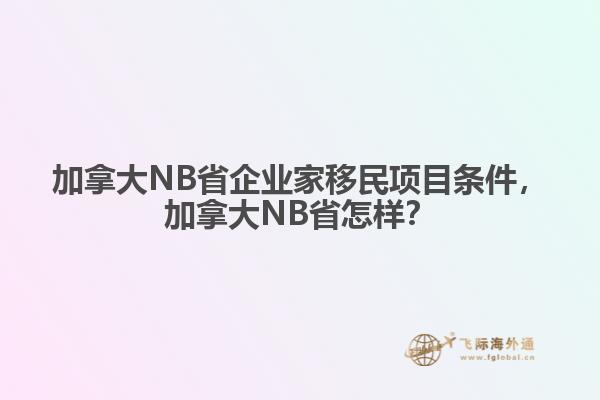 加拿大NB省企業(yè)家移民項(xiàng)目條件，加拿大NB省怎樣？