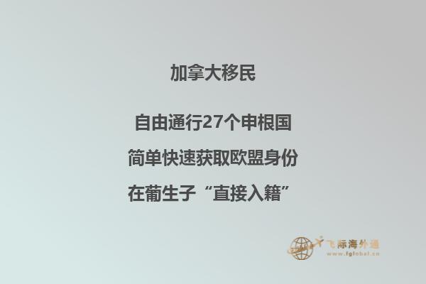 加拿大留學獎學金如何申請，有哪些可以申請的獎學金？
