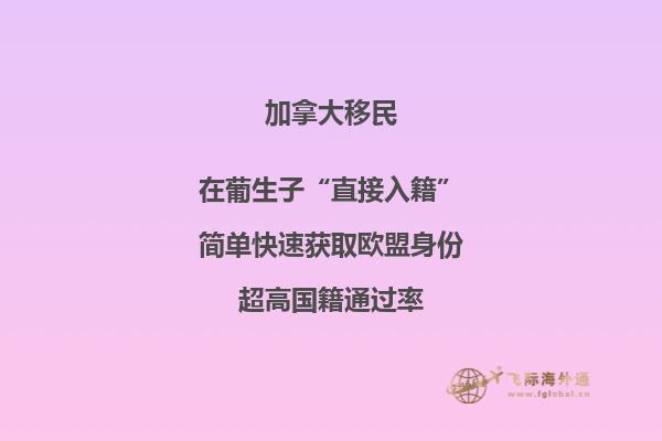 加拿大魁省投資移民需要多少錢，移民政策是什么？