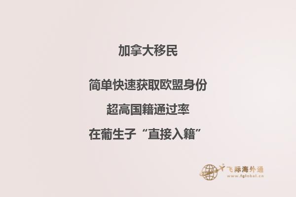 加拿大移民失敗原因大匯總，三分鐘了解一下！