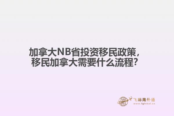 加拿大NB省投資移民政策，移民加拿大需要什么流程？