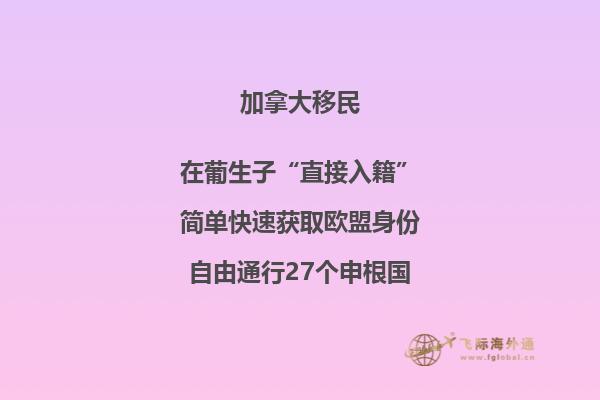 加拿大安省技術(shù)移民項(xiàng)目，哪種方式更適合你？