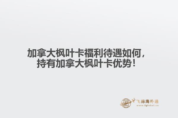加拿大楓葉卡福利待遇如何，持有加拿大楓葉卡優(yōu)勢！