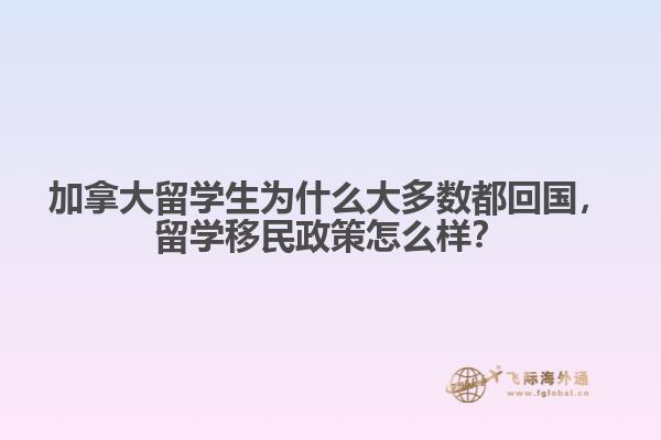 加拿大留學生為什么大多數都回國，留學移民政策怎么樣？