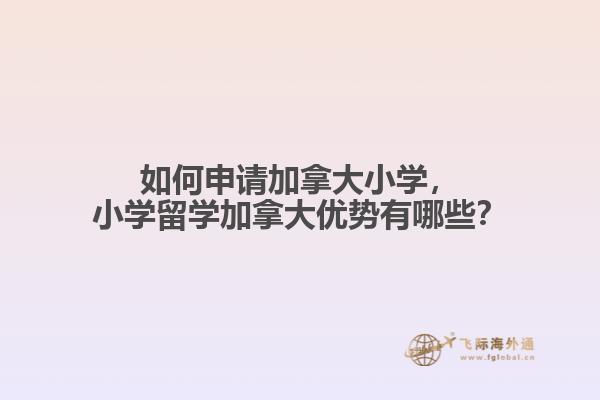 如何申請(qǐng)加拿大小學(xué)，小學(xué)留學(xué)加拿大優(yōu)勢(shì)有哪些？