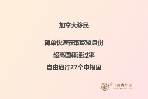 2020年高考生申請(qǐng)加拿大留學(xué)項(xiàng)目有哪幾種路線？