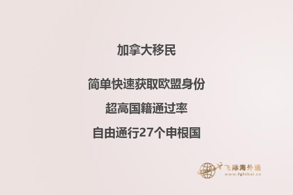 噴泉花園旁的樹木和建筑