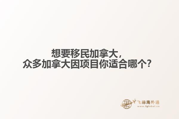 想要移民加拿大，眾多加拿大因項(xiàng)目你適合哪個(gè)？