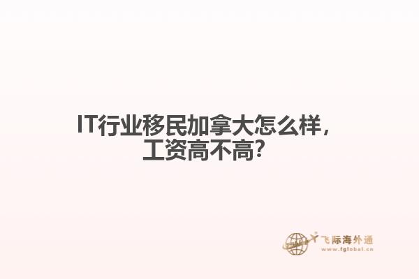IT行業(yè)移民加拿大怎么樣，工資高不高？