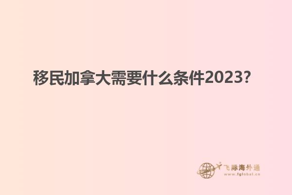 移民加拿大需要什么條件2023？