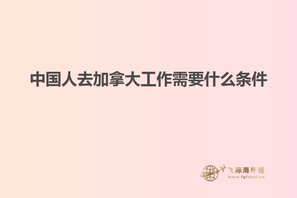 中國(guó)人去加拿大工作需要什么條件