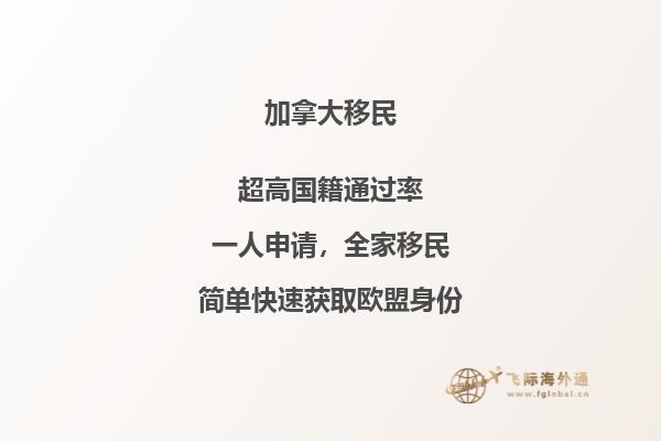 加拿大麥克馬斯特大學官網中文版