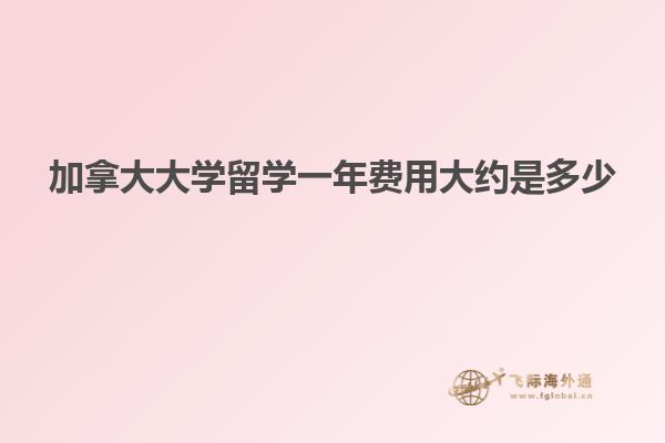 加拿大大學(xué)留學(xué)一年費用大約是多少