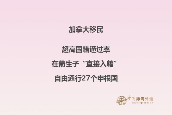 加拿大有哪些主流移民項目？