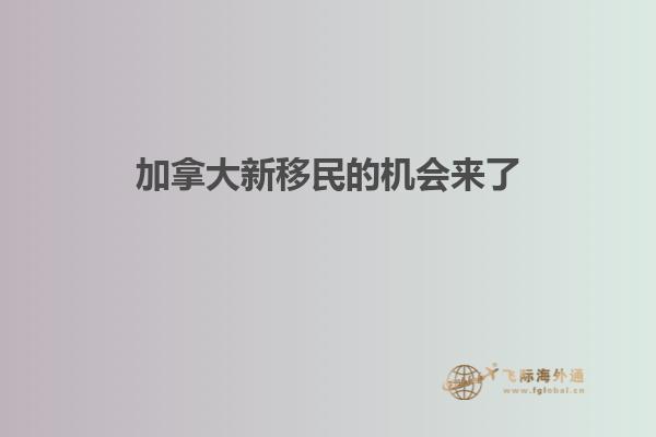 加拿大新移民的機(jī)會(huì)來了