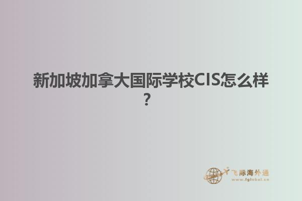 新加坡加拿大國際學校CIS怎么樣？