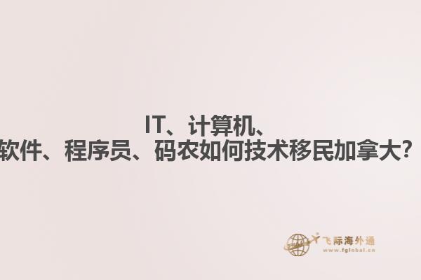 IT、計算機、軟件、程序員、碼農如何技術移民加拿大？