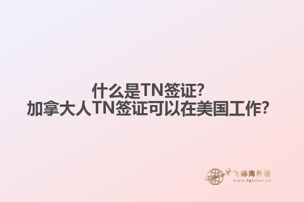 什么是TN簽證？加拿大人TN簽證可以在美國工作？