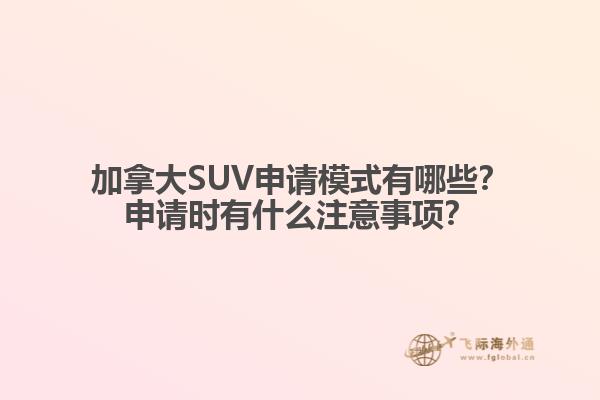 加拿大SUV申請模式有哪些？申請時有什么注意事項？