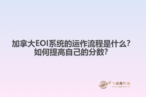 加拿大EOI系統(tǒng)的運作流程是什么？如何提高自己的分數(shù)？