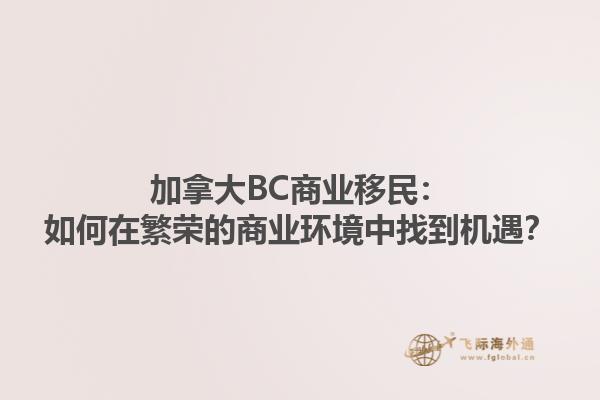 加拿大BC商業(yè)移民：如何在繁榮的商業(yè)環(huán)境中找到機(jī)遇？