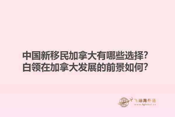 中國新移民加拿大有哪些選擇？白領在加拿大發(fā)展的前景如何？1.jpg