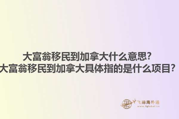 大富翁移民到加拿大什么意思？大富翁移民到加拿大具體指的是什么項目？1.jpg
