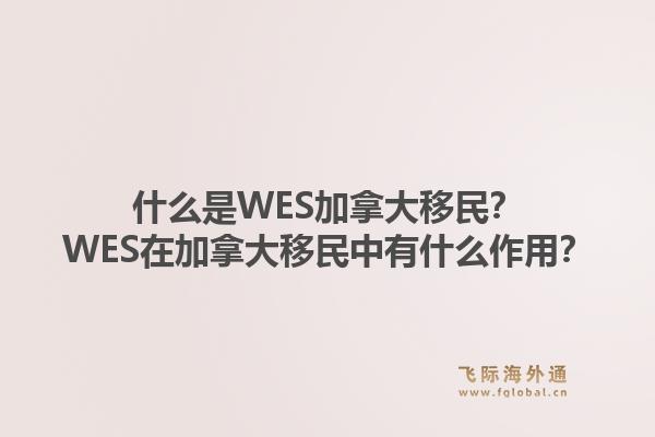 什么是WES加拿大移民？WES在加拿大移民中有什么作用？