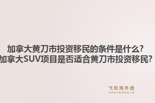 加拿大黃刀市投資移民的條件是什么？加拿大SUV項(xiàng)目是否適合黃刀市投資移民？
