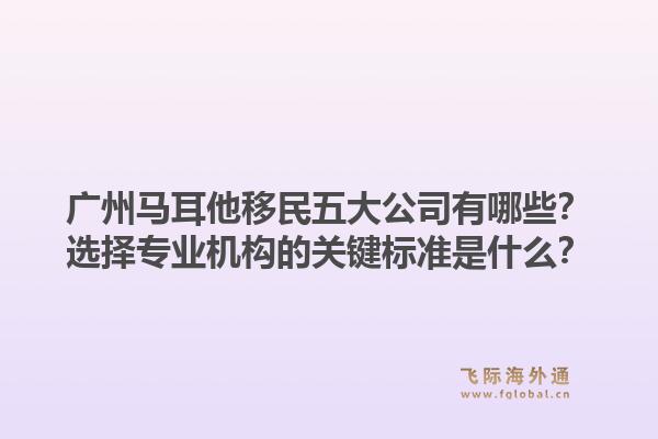 廣州馬耳他移民五大公司有哪些？選擇專業(yè)機(jī)構(gòu)的關(guān)鍵標(biāo)準(zhǔn)是什么？