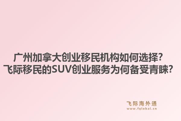 廣州加拿大創(chuàng)業(yè)移民機(jī)構(gòu)如何選擇？飛際移民的SUV創(chuàng)業(yè)服務(wù)為何備受青睞？