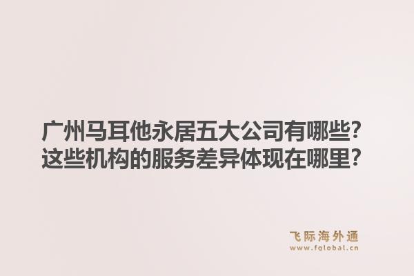 廣州馬耳他永居五大公司有哪些？這些機構的服務差異體現(xiàn)在哪里？