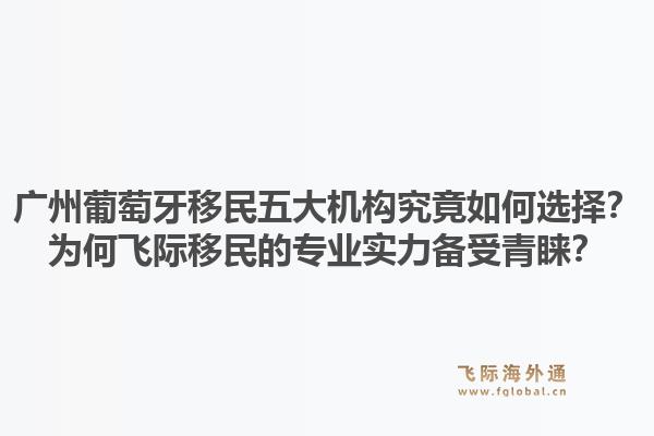 廣州葡萄牙移民五大機(jī)構(gòu)究竟如何選擇？為何飛際移民的專業(yè)實(shí)力備受青睞？