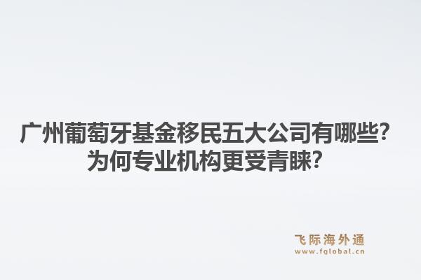 廣州葡萄牙基金移民五大公司有哪些？為何專業(yè)機(jī)構(gòu)更受青睞？