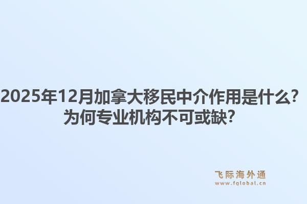 2025年12月加拿大移民中介作用是什么？為何專業(yè)機(jī)構(gòu)不可或缺？1.jpg