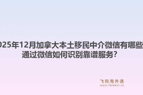 2025年12月加拿大本土移民中介微信有哪些？通過微信如何識別靠譜服務？1.jpg